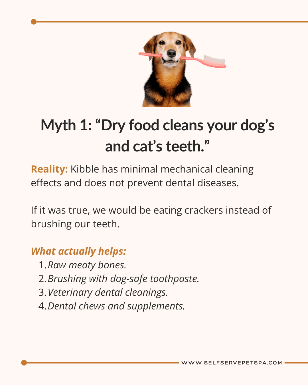 Myth: Dry food cleans your dog's and cat's teeth