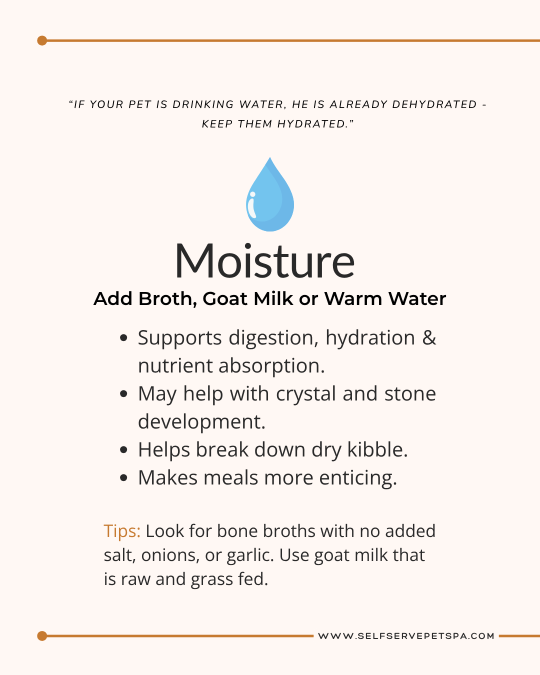 Add moisture to your pet's food.