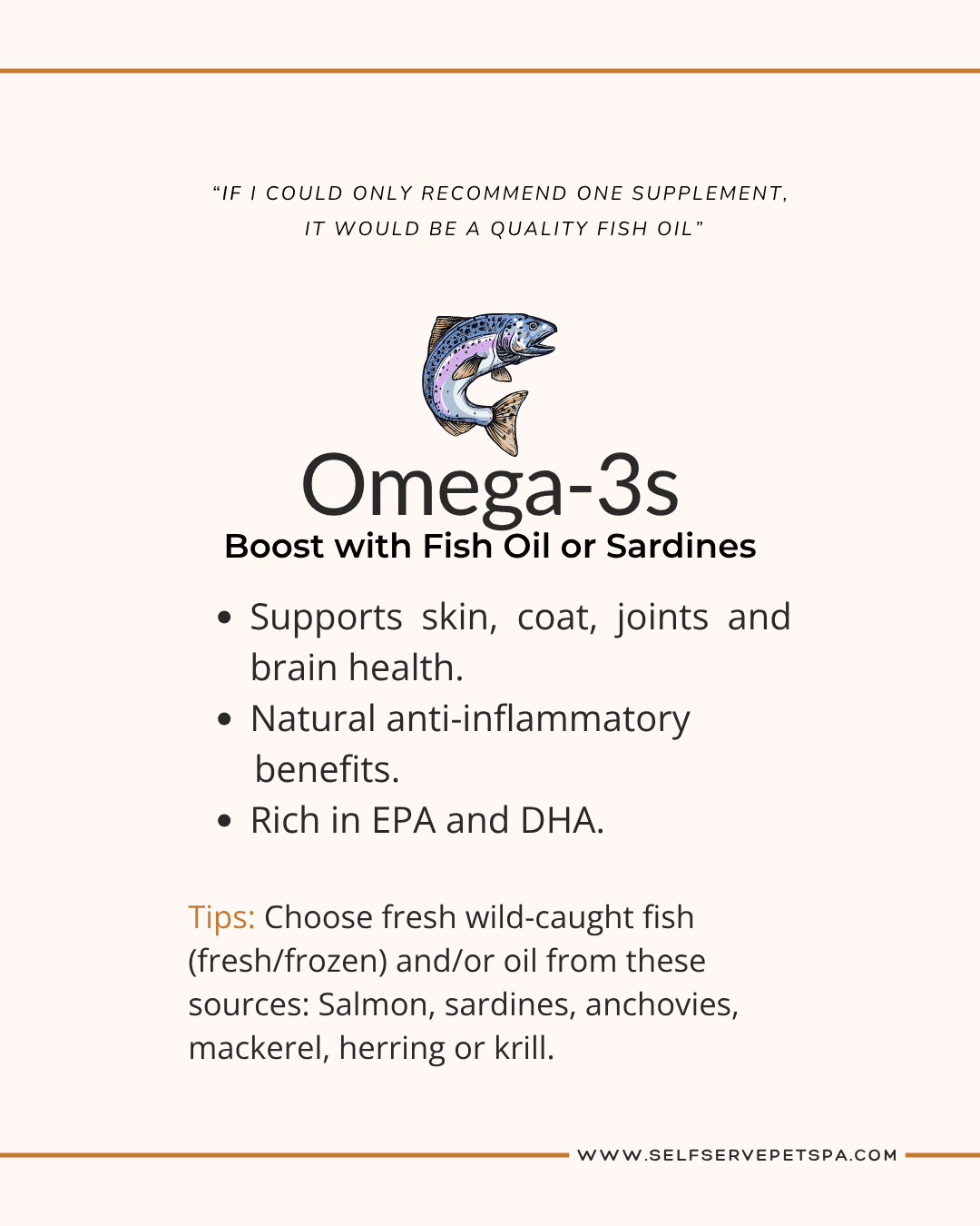 Omega 3s are an excellent supplement for your pet.