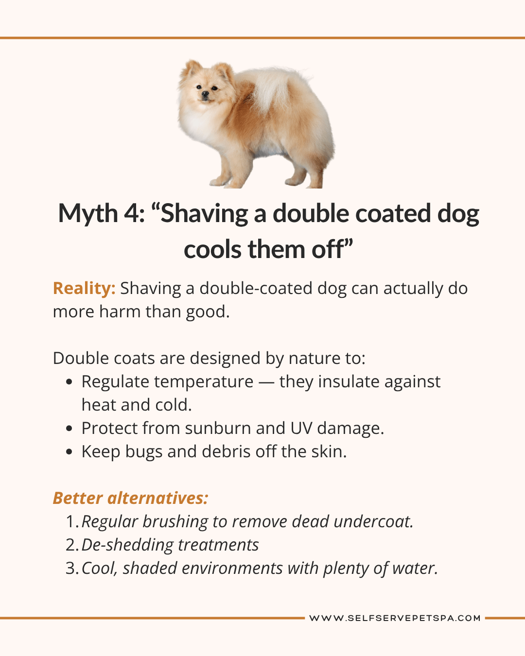 Myth: Shaving a double coated dog cools them off.