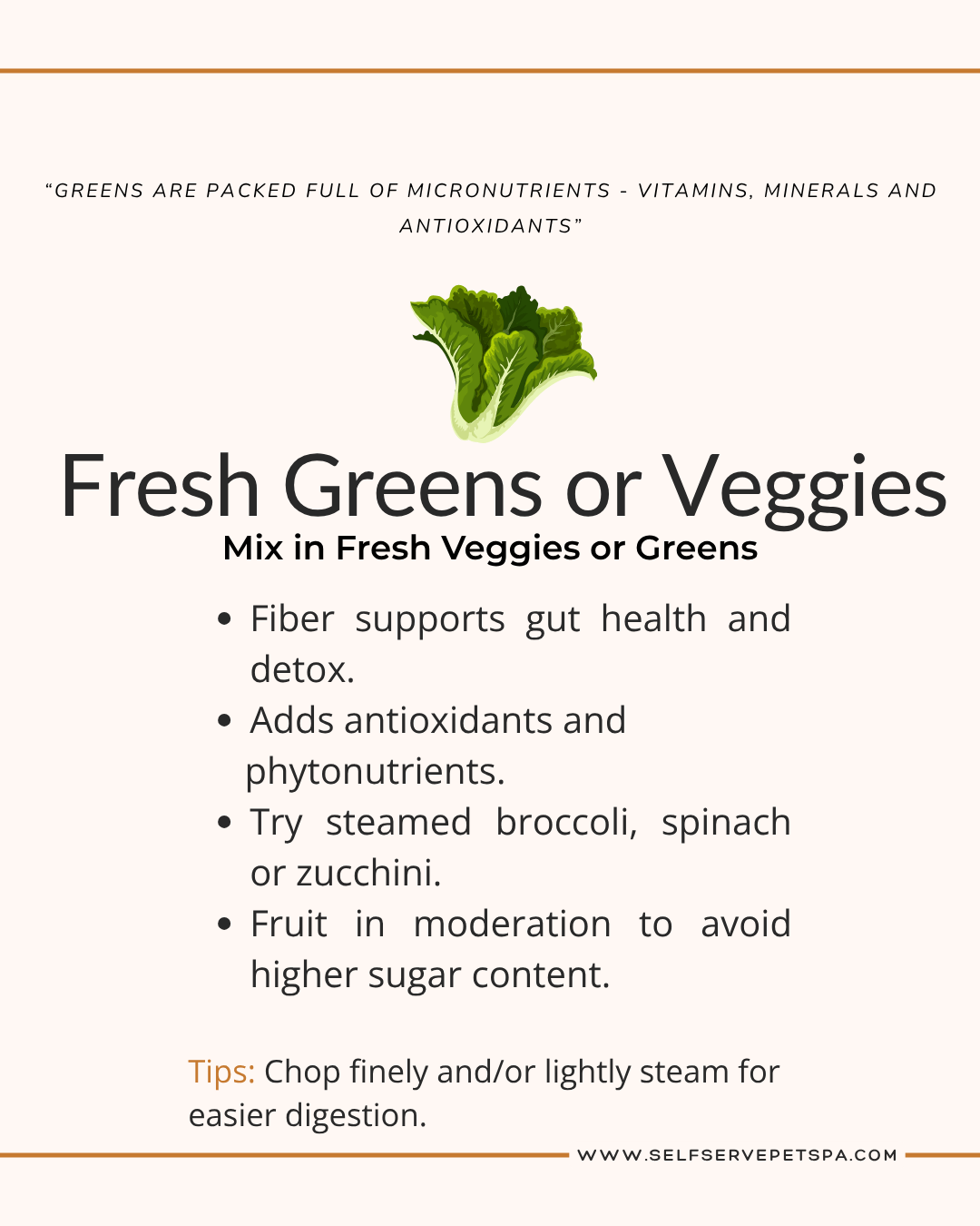 Fresh greens and veggies are excellent for your pet.