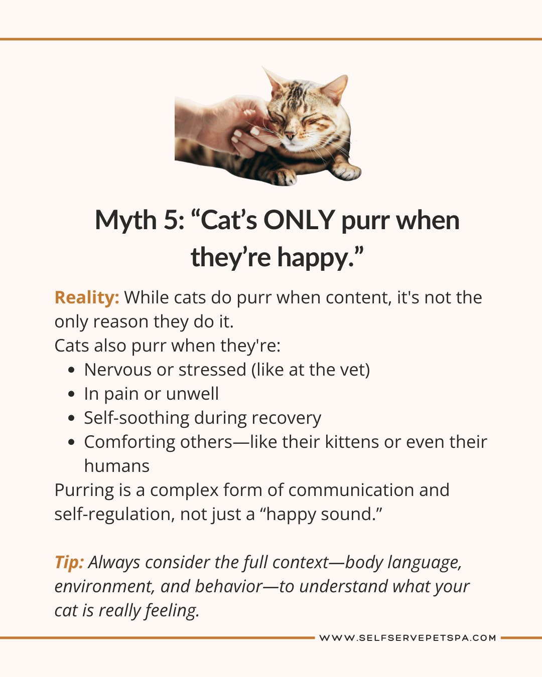Myth: Cat's only purr when they're happy.