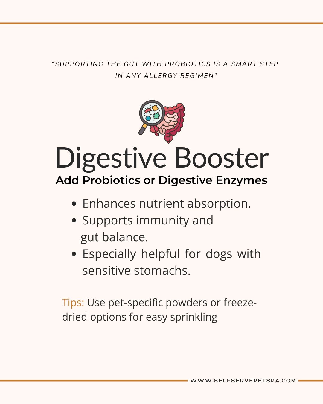 A little digestive booster for your pet, works wonders.