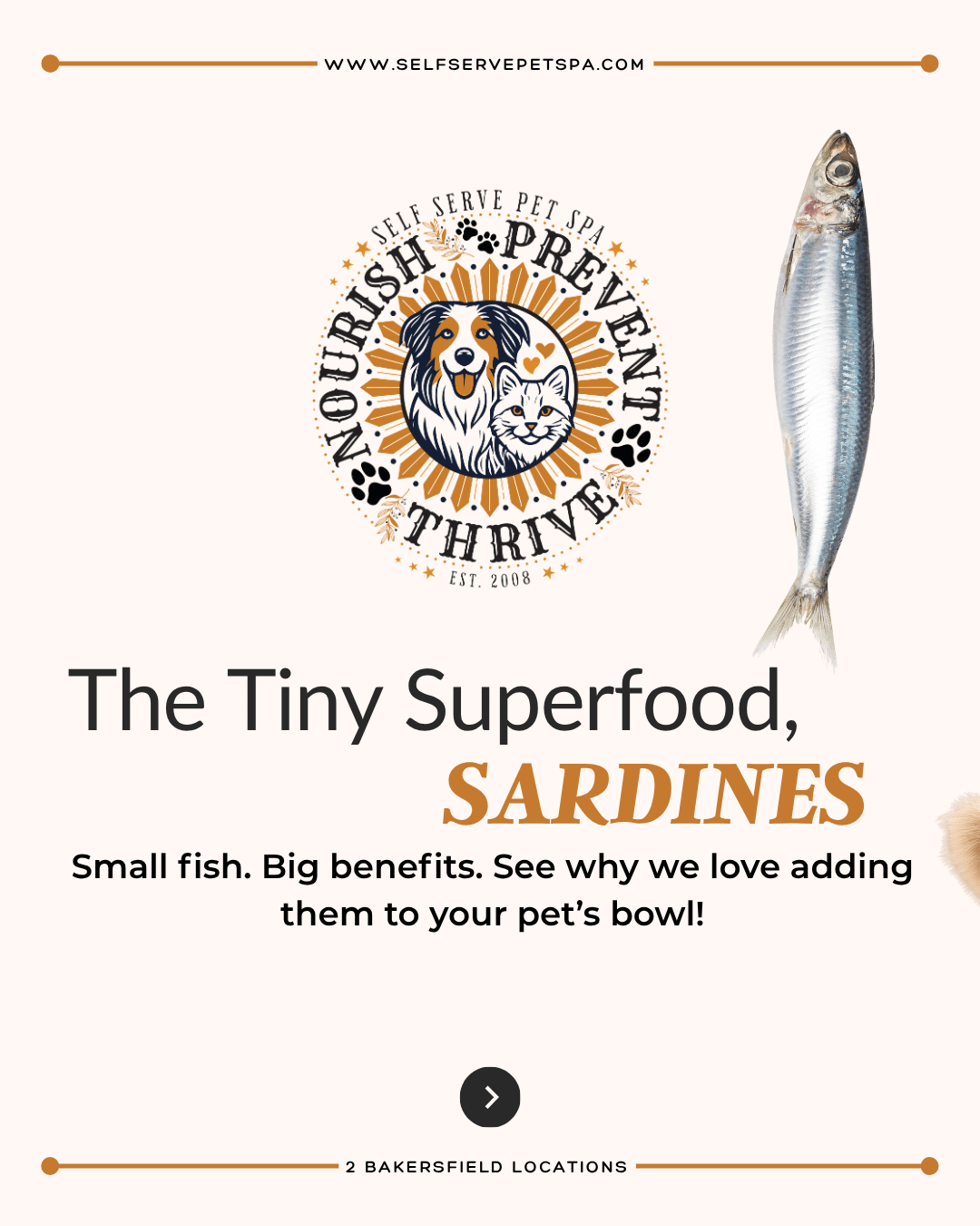 The tiny superfood - sardines.