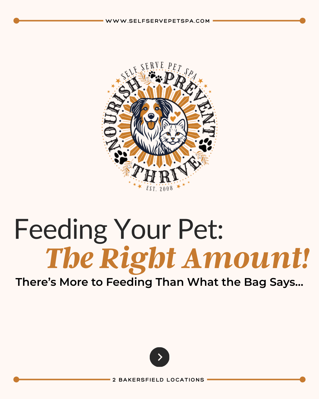 Feeding your pet the right amount.