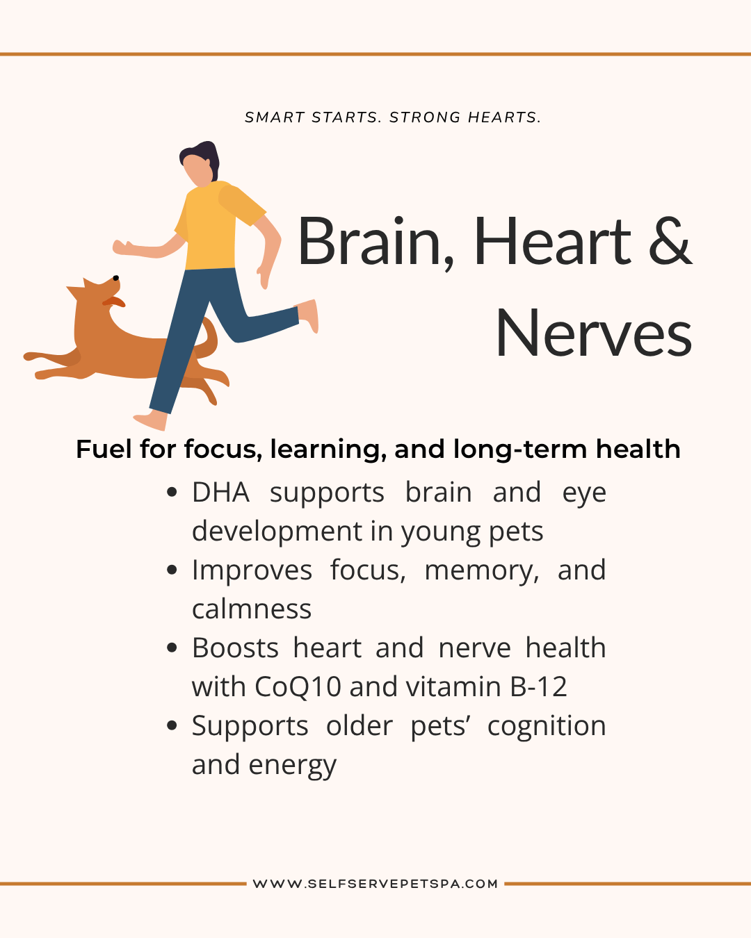 Brain, heart and nerve health with sardines
