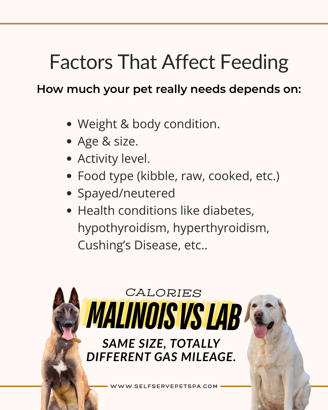 Factors that affect feeding amounts