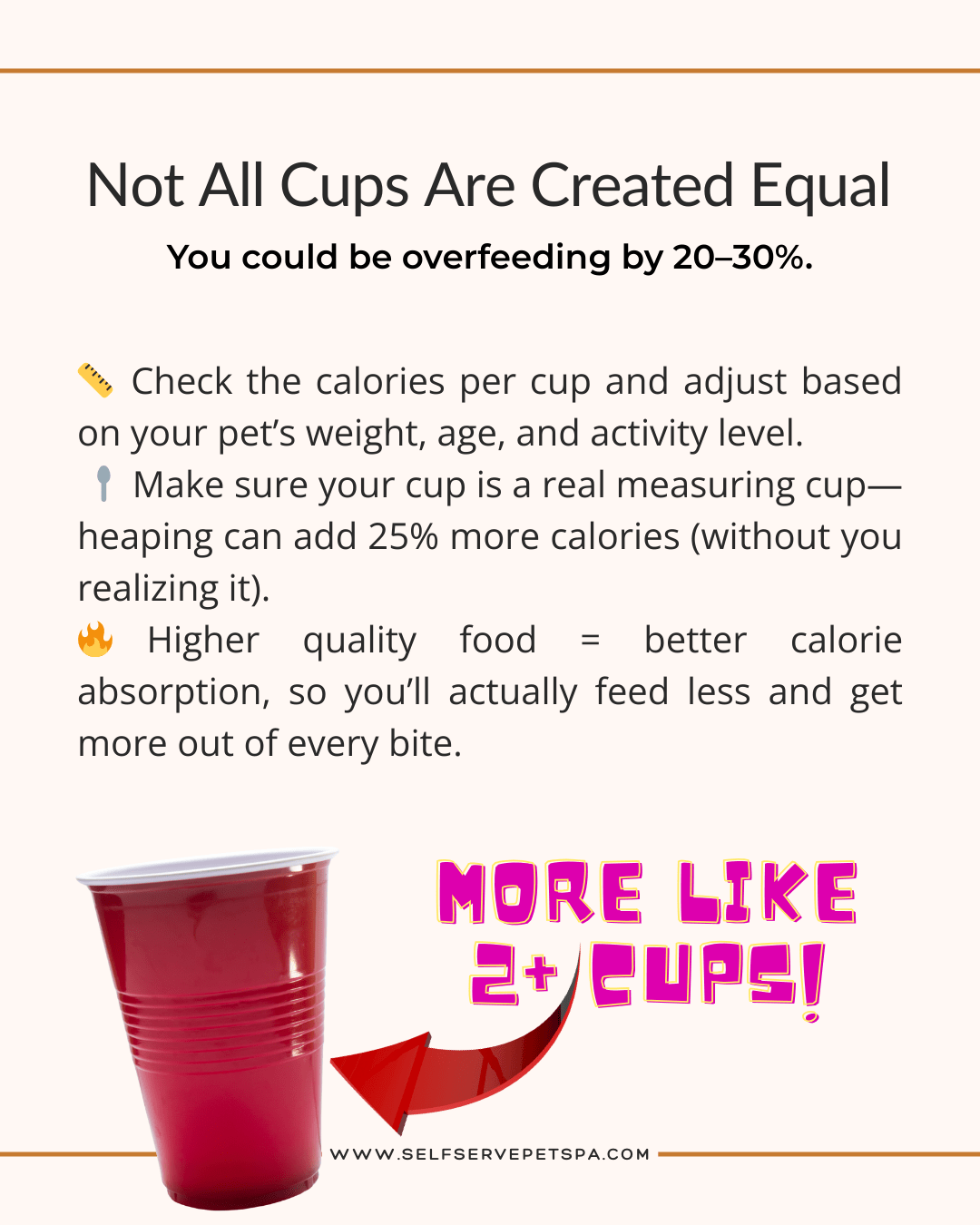 Measure your pet food cup