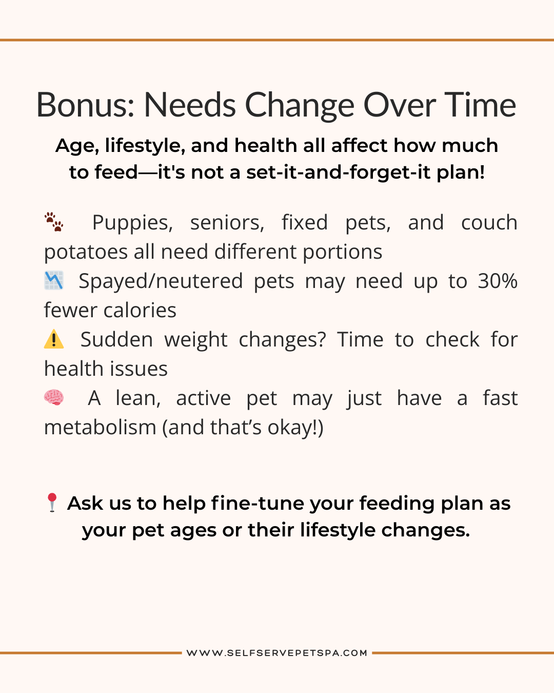 How to get your pet to lose weight