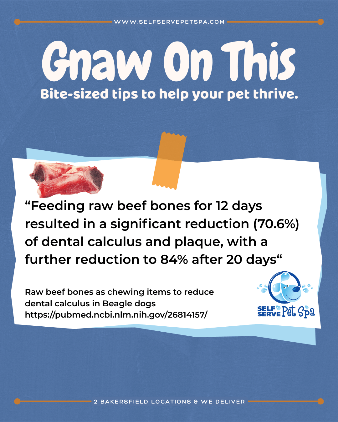 Nature's natural toothbrush!