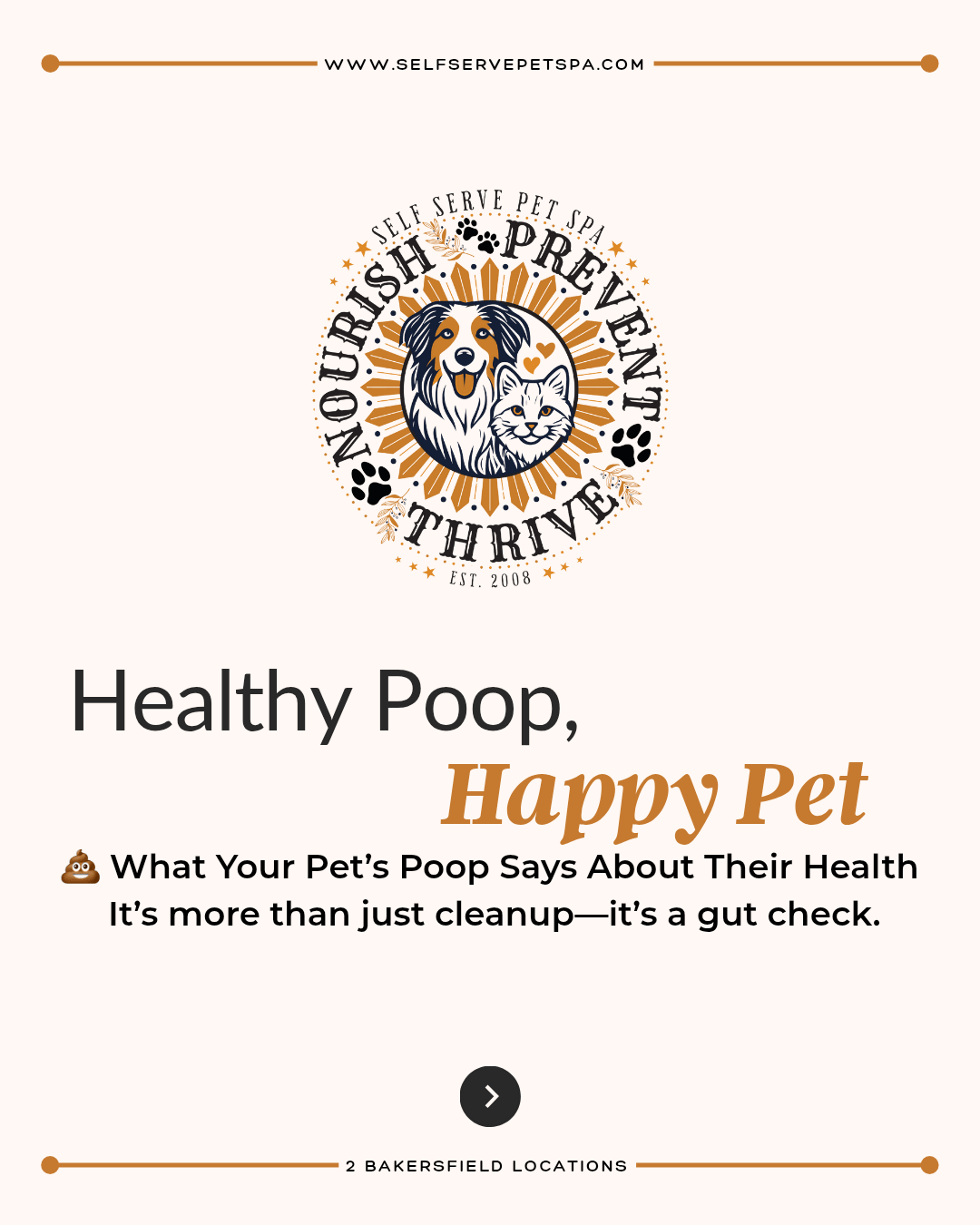Your pet's poop says a lot about your pet's health.