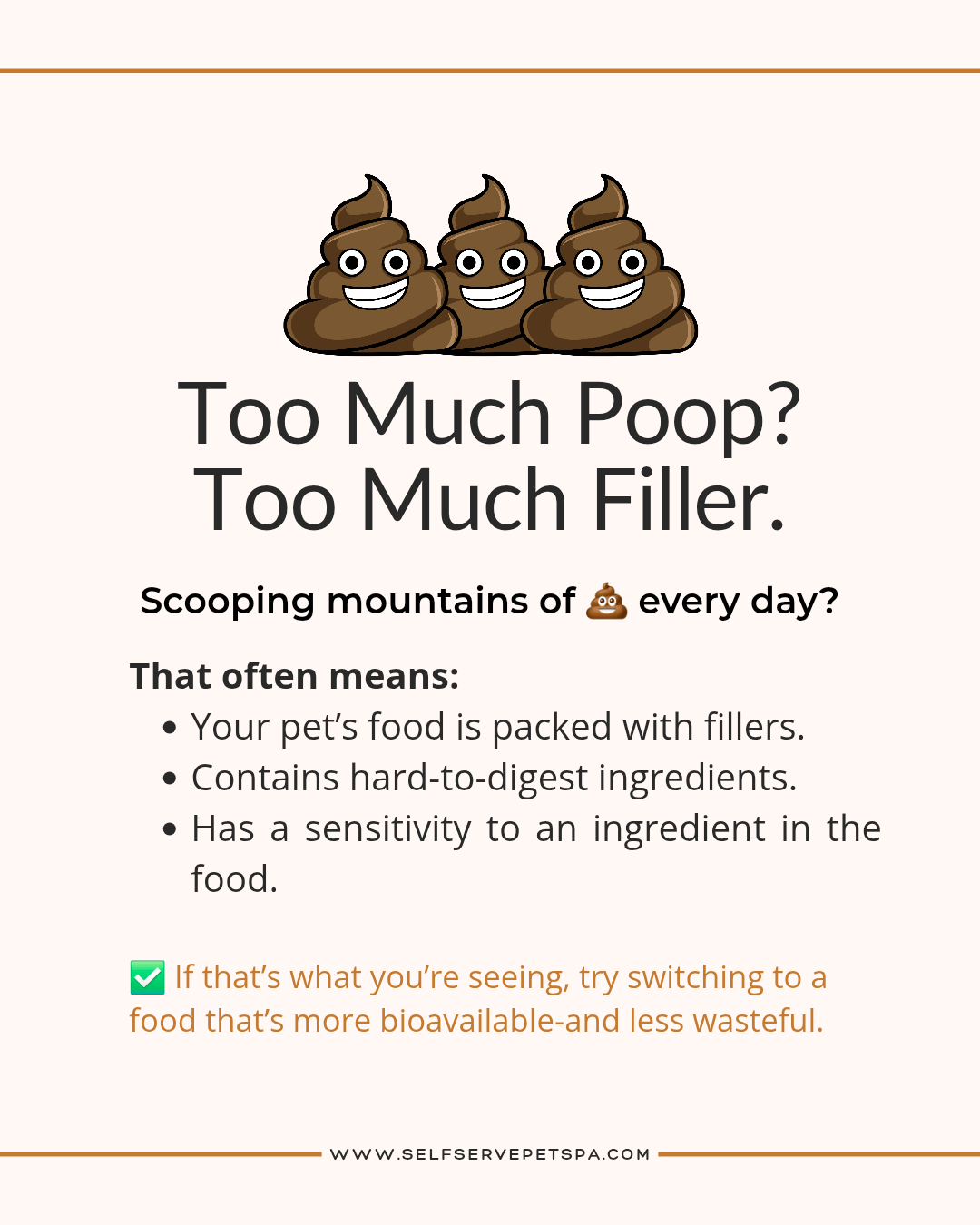 is your dog pooping too much?