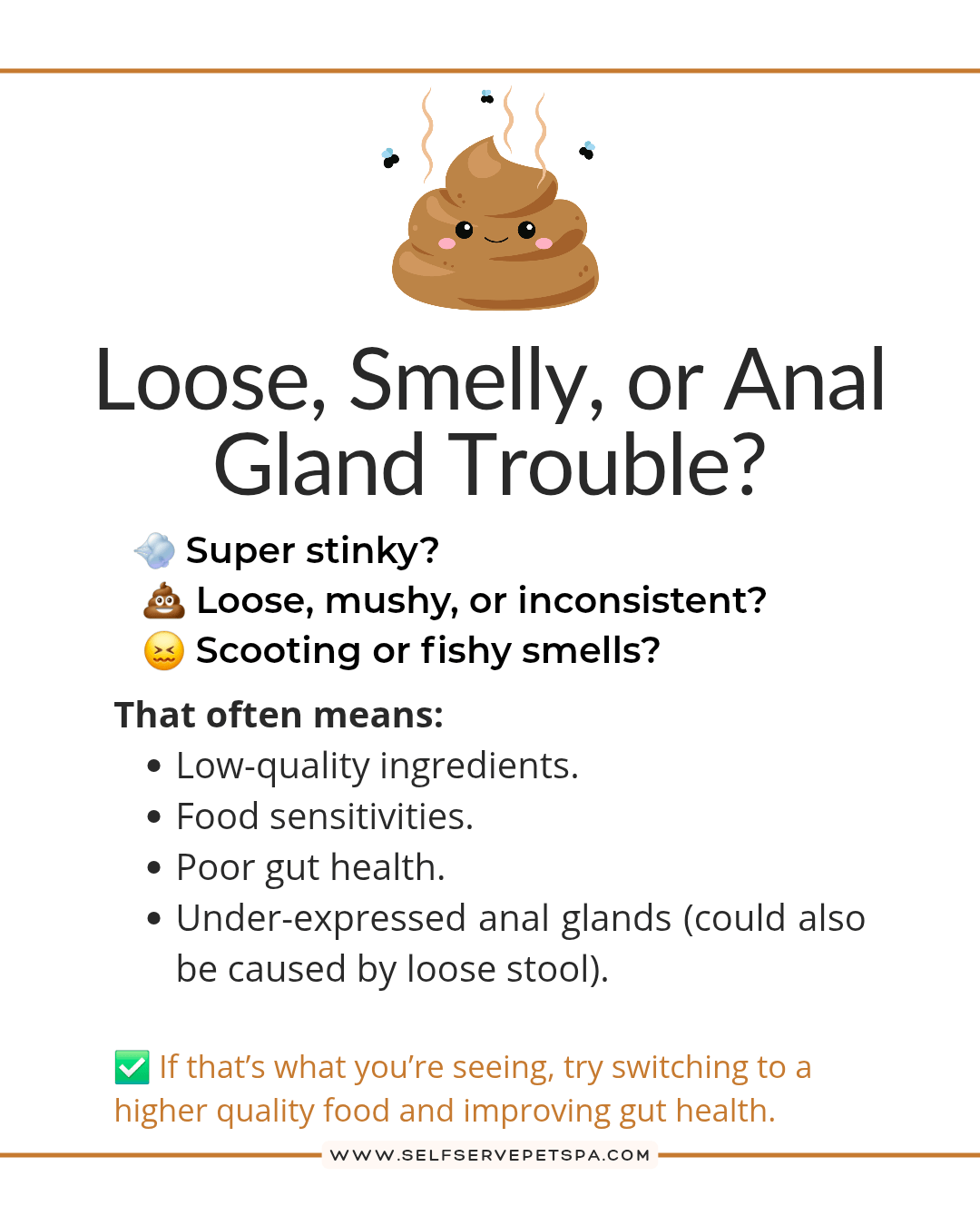 loose, smelly or anal gland issues?