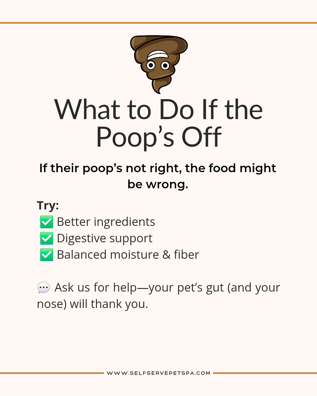 What to do when your pet's poop is off?