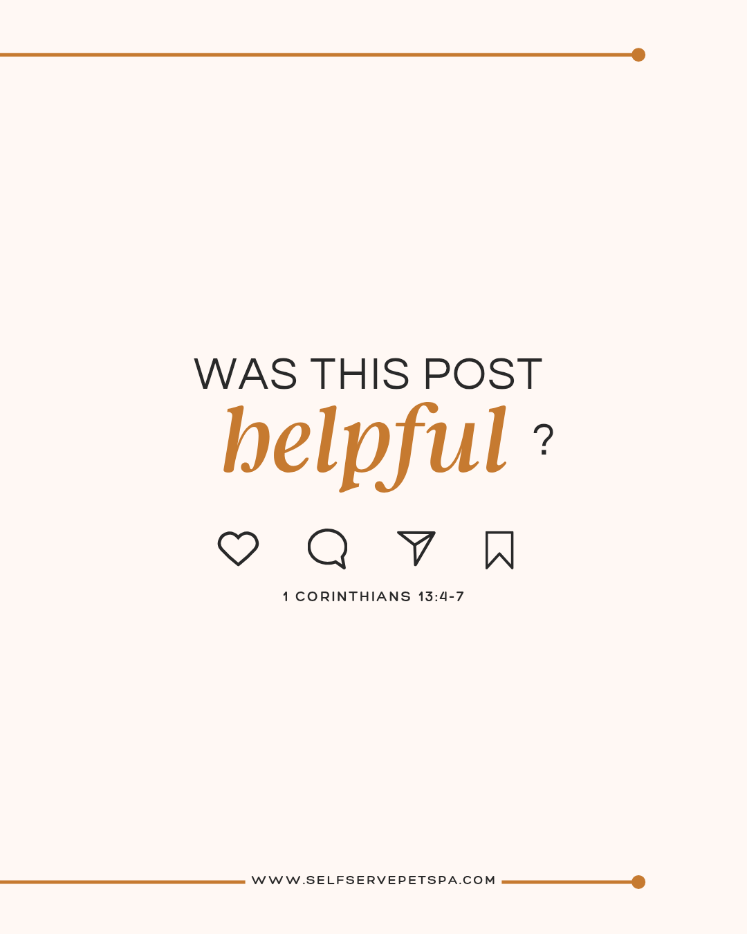 Ask us for help if your pet's poop is off!